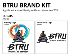 BTRU Academy brandkit created by Potere Growth in Houston Texas.